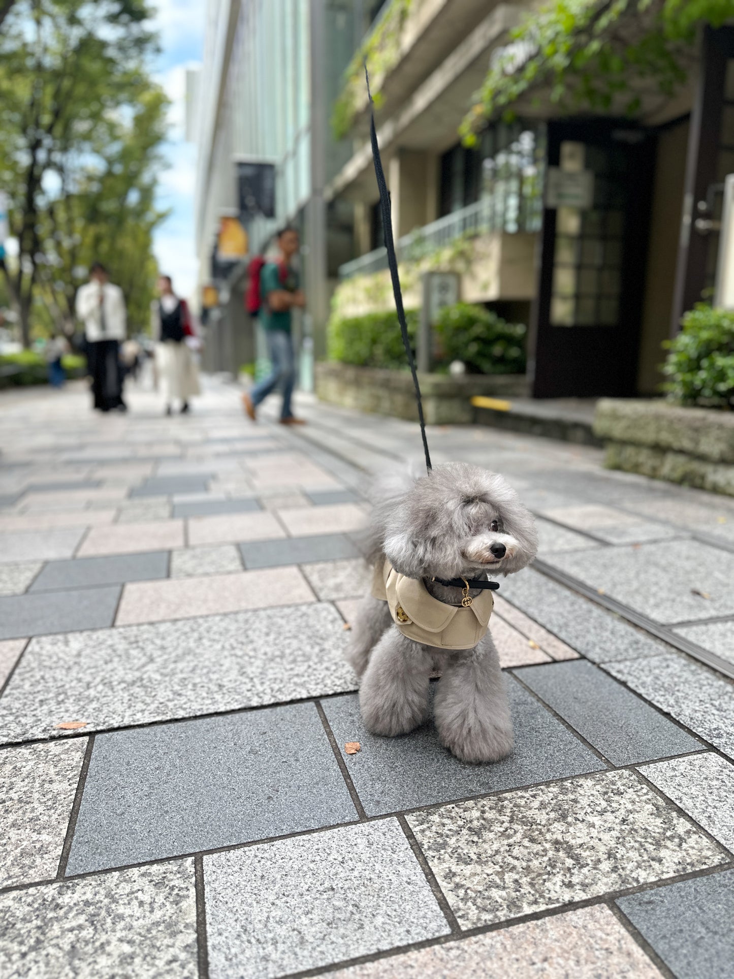 ウォータープルーフトレンチコート