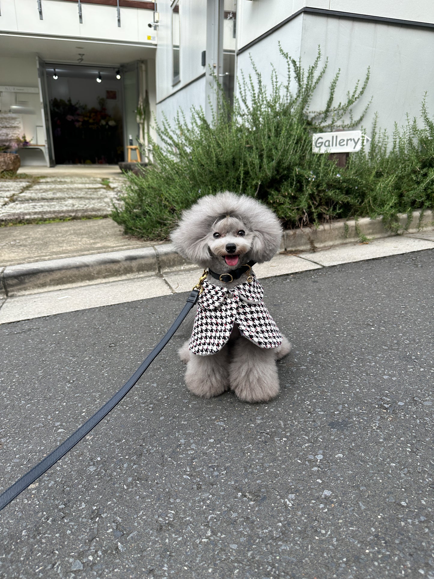 千鳥ピンクドットツイードケープ