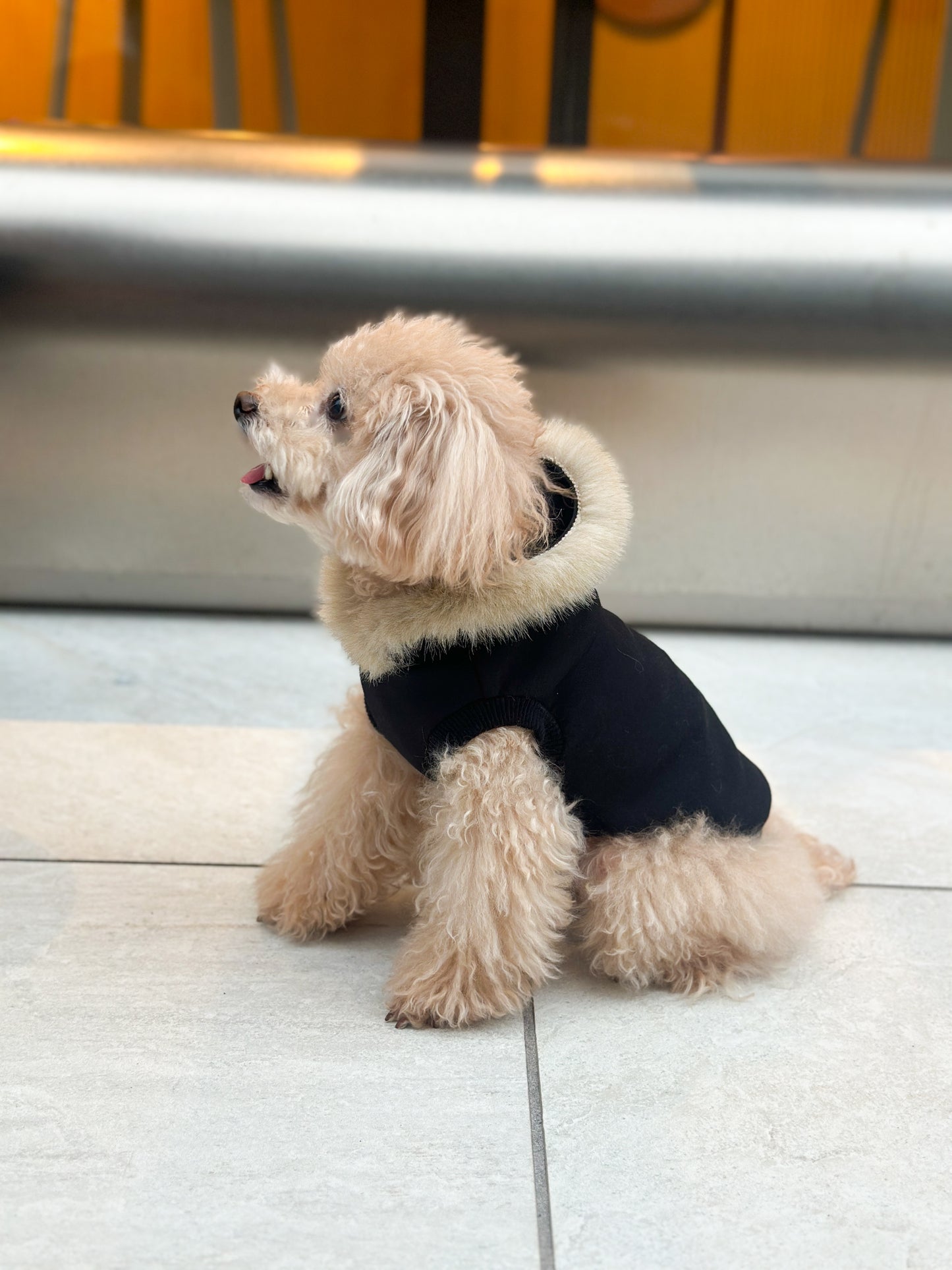 PAWFECT ファーパーカー 【ブラック】