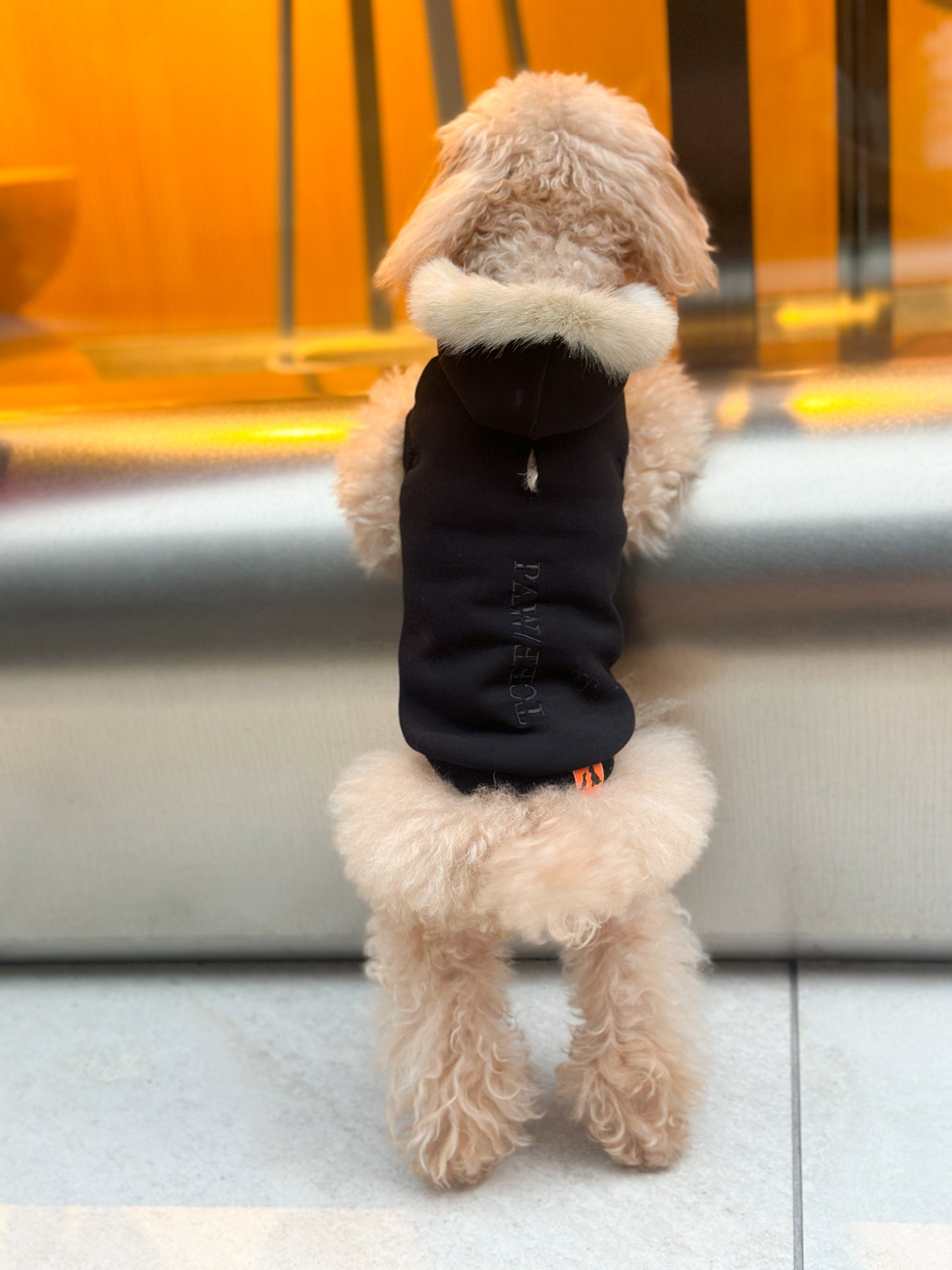 PAWFECT ファーパーカー 【ブラック】