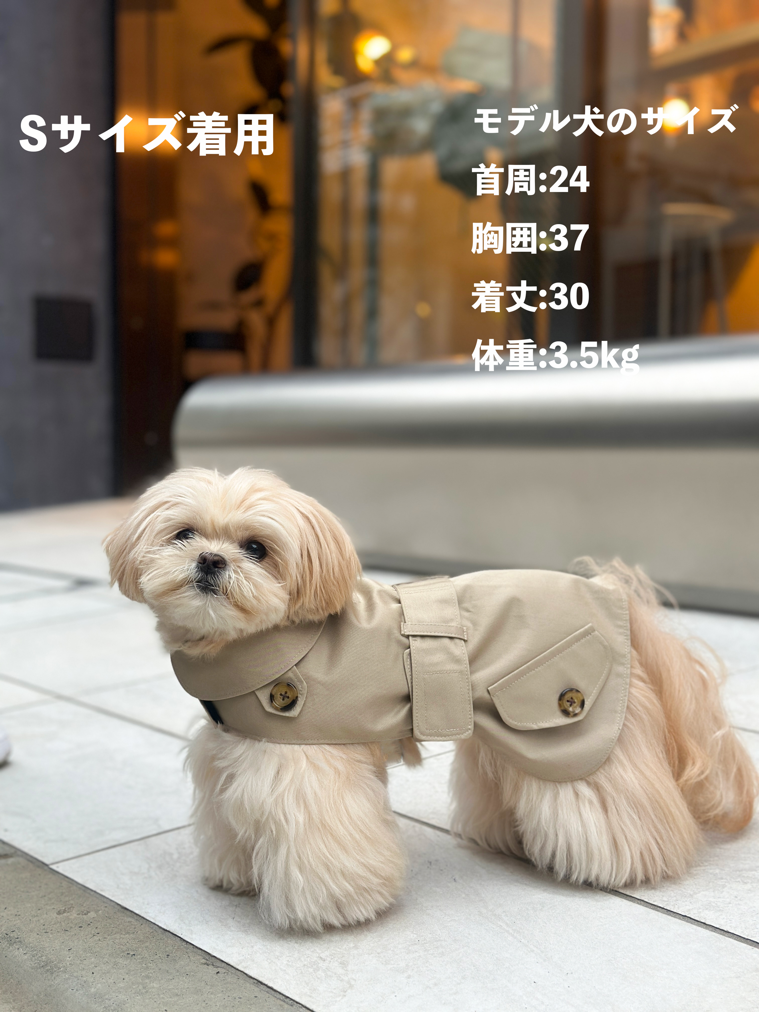 ウォータープルーフトレンチコート – Forest Tokyo ウォータープルーフトレンチコート – Forest Tokyo