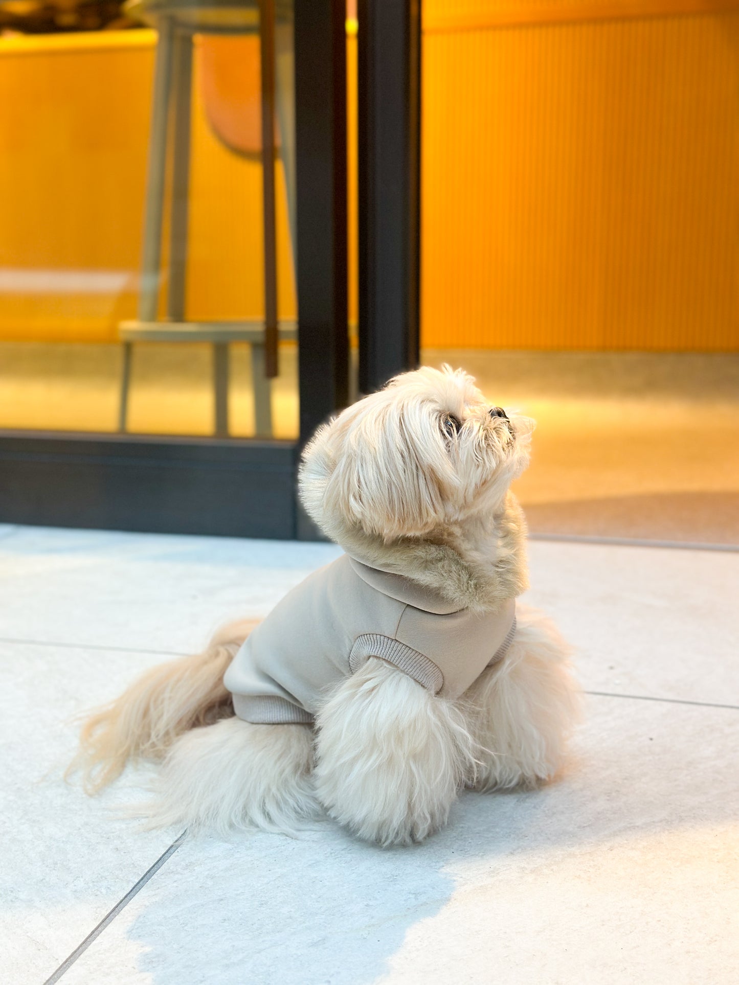 PAWFECT ファーパーカー 【ベージュ】