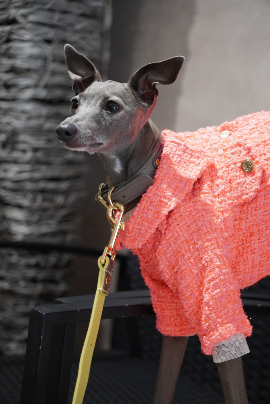 ツイードカラージャケット