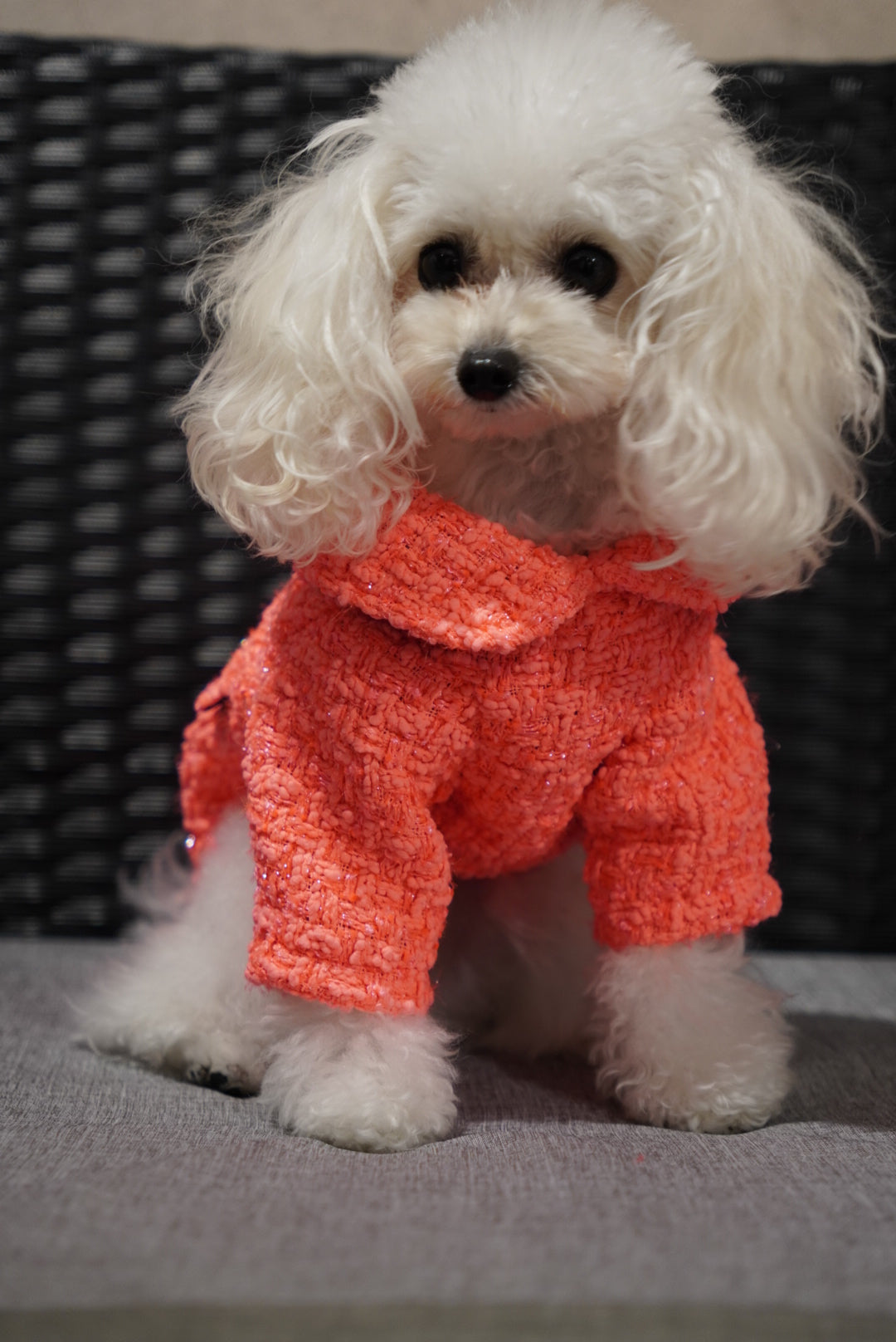 ツイードカラージャケット