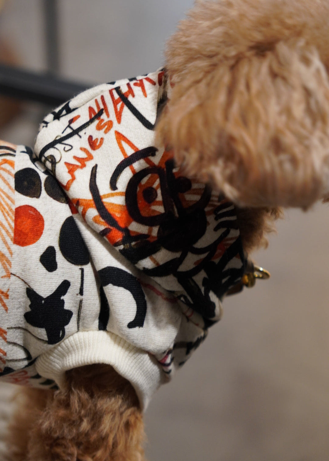 グラフィックロゴパーカー