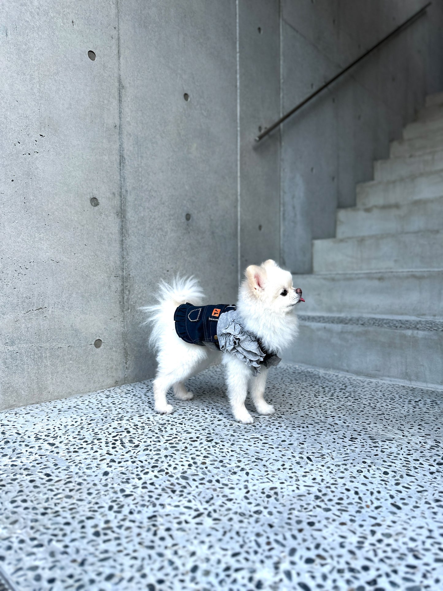 デニムサロペットSK