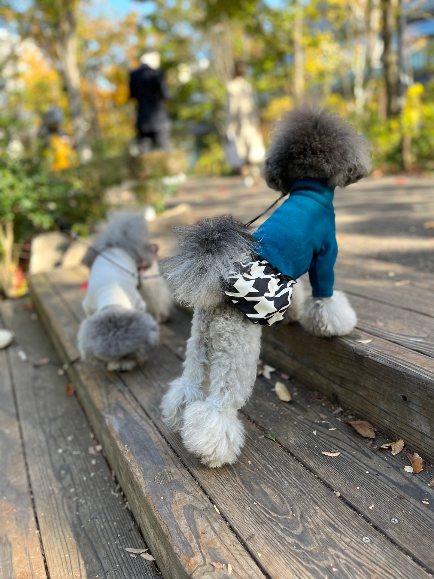 プレミアウォーム・ワンピース/グリーン