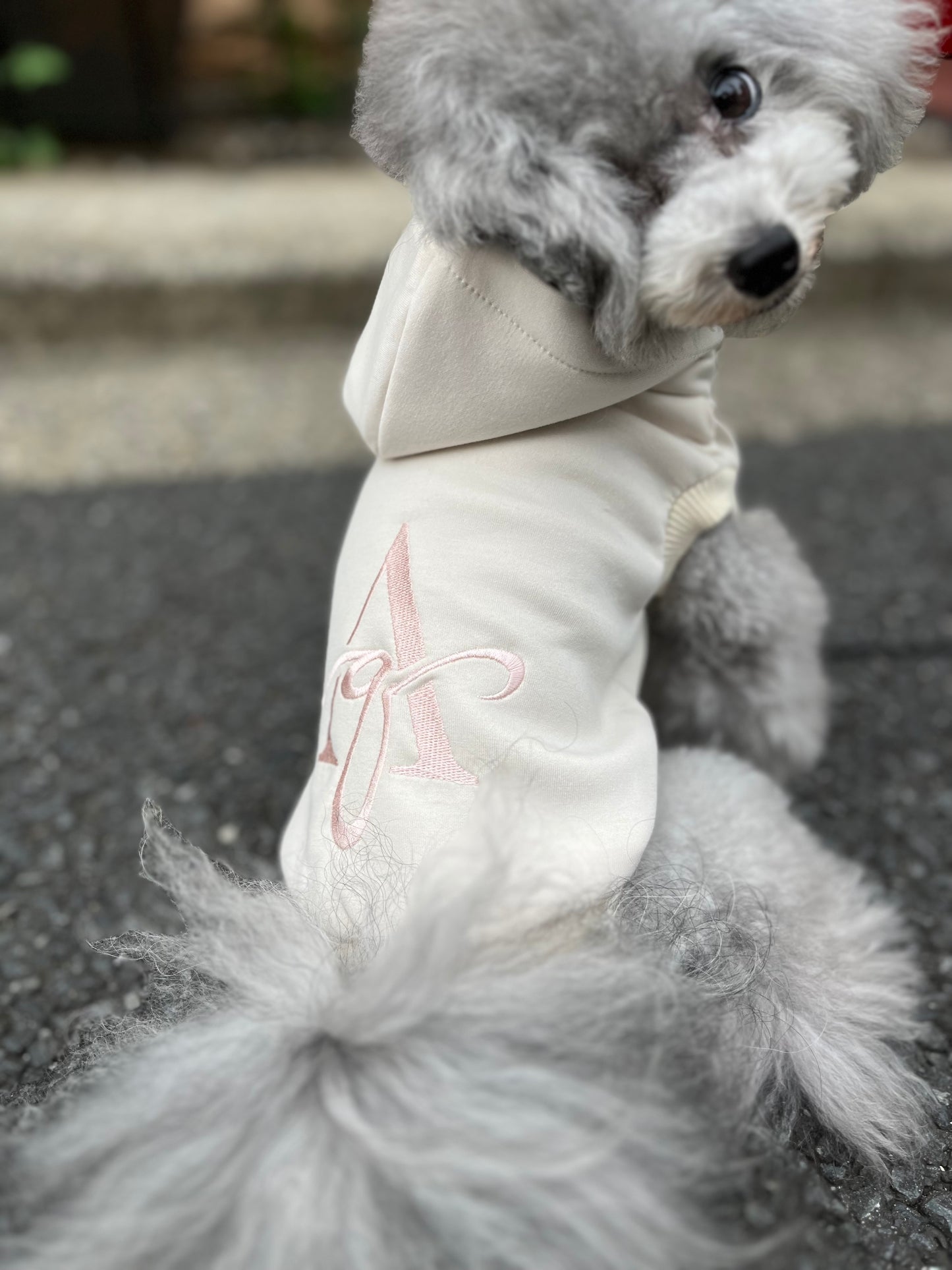 Aqロゴフーディ《アイボリー×ピンク》