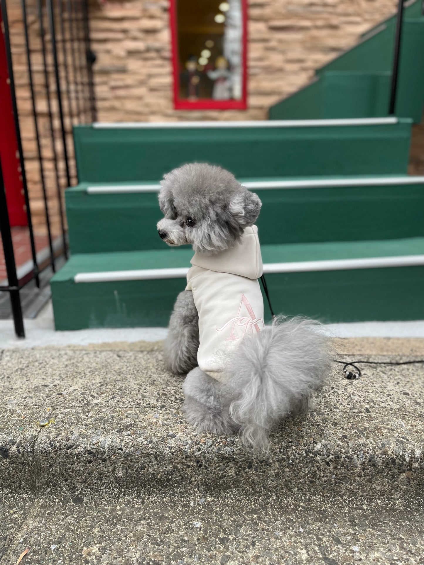 Aqロゴフーディ《アイボリー×ピンク》