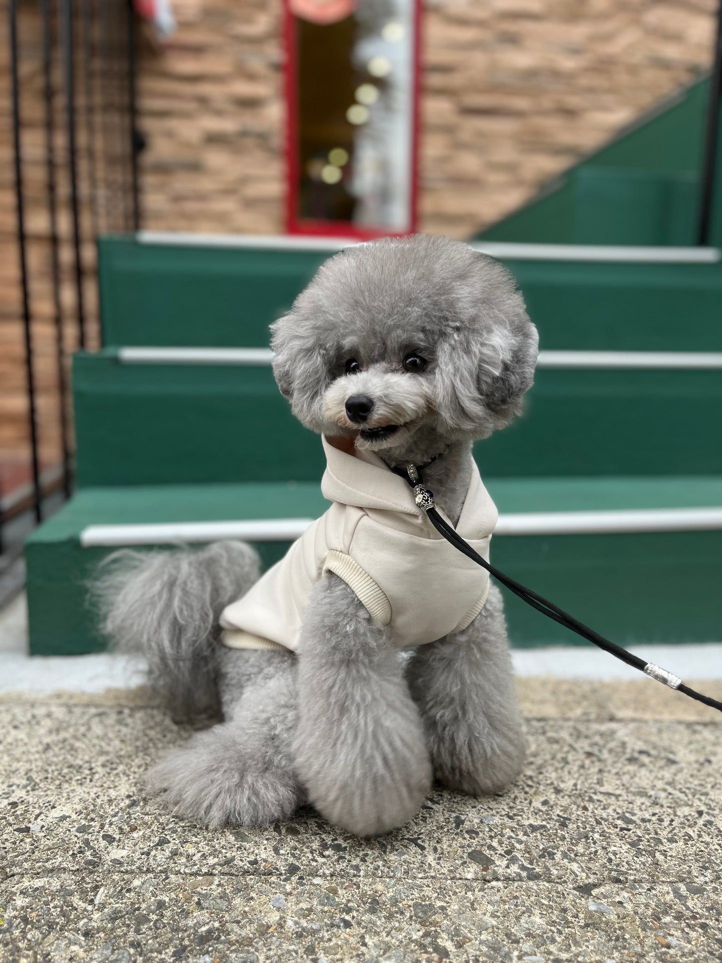 Aqロゴフーディ《アイボリー×ピンク》