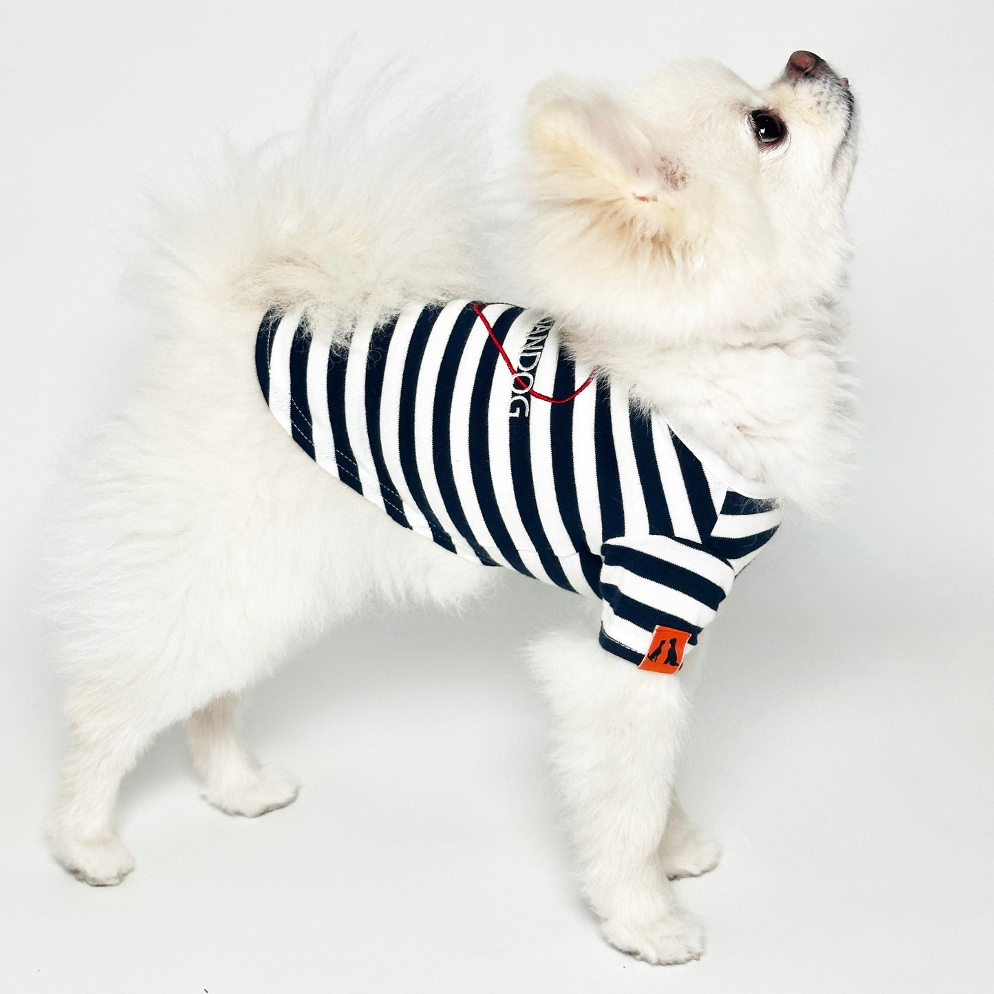 OMOTESANDOG Tシャツ