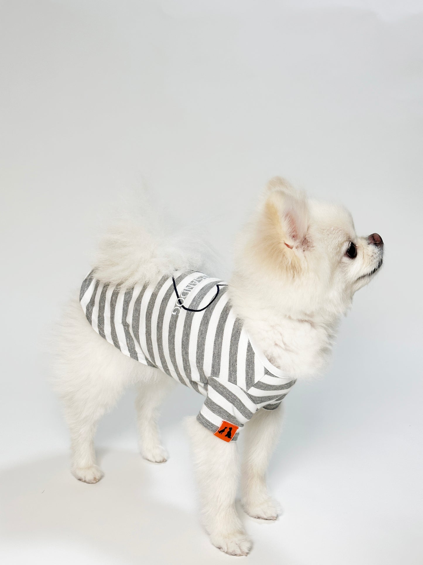 OMOTESANDOG Tシャツ