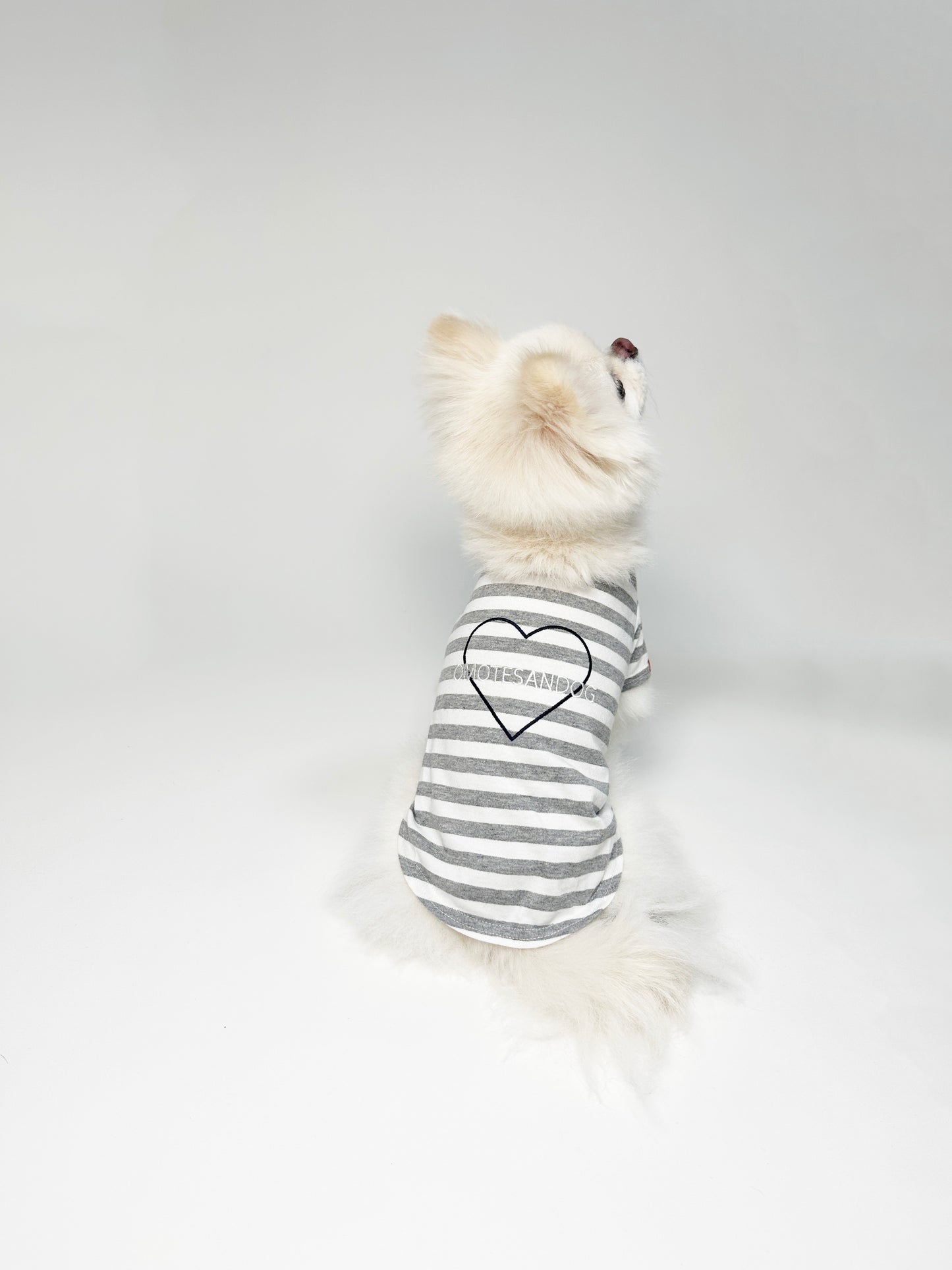 OMOTESANDOG Tシャツ