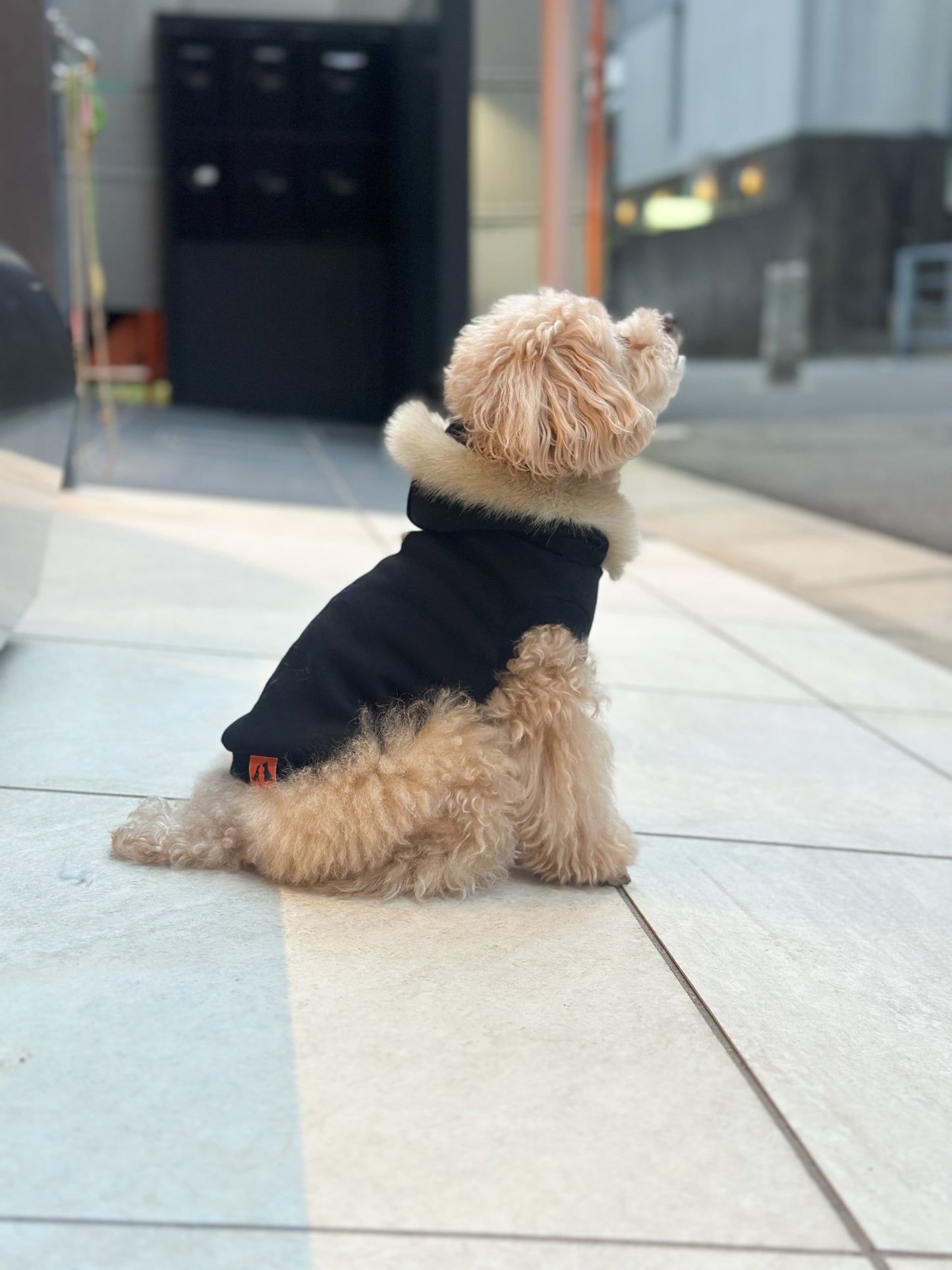 PAWFECT ファーパーカー 【ブラック】