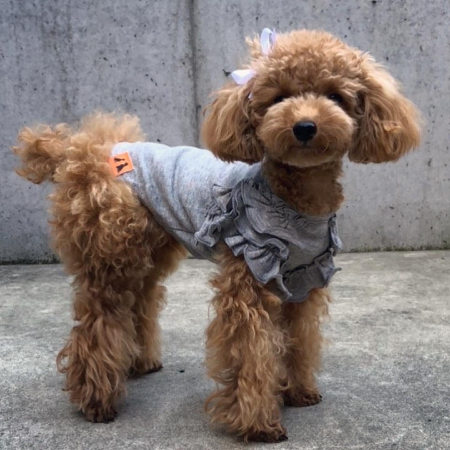 肩フリル Tシャツ