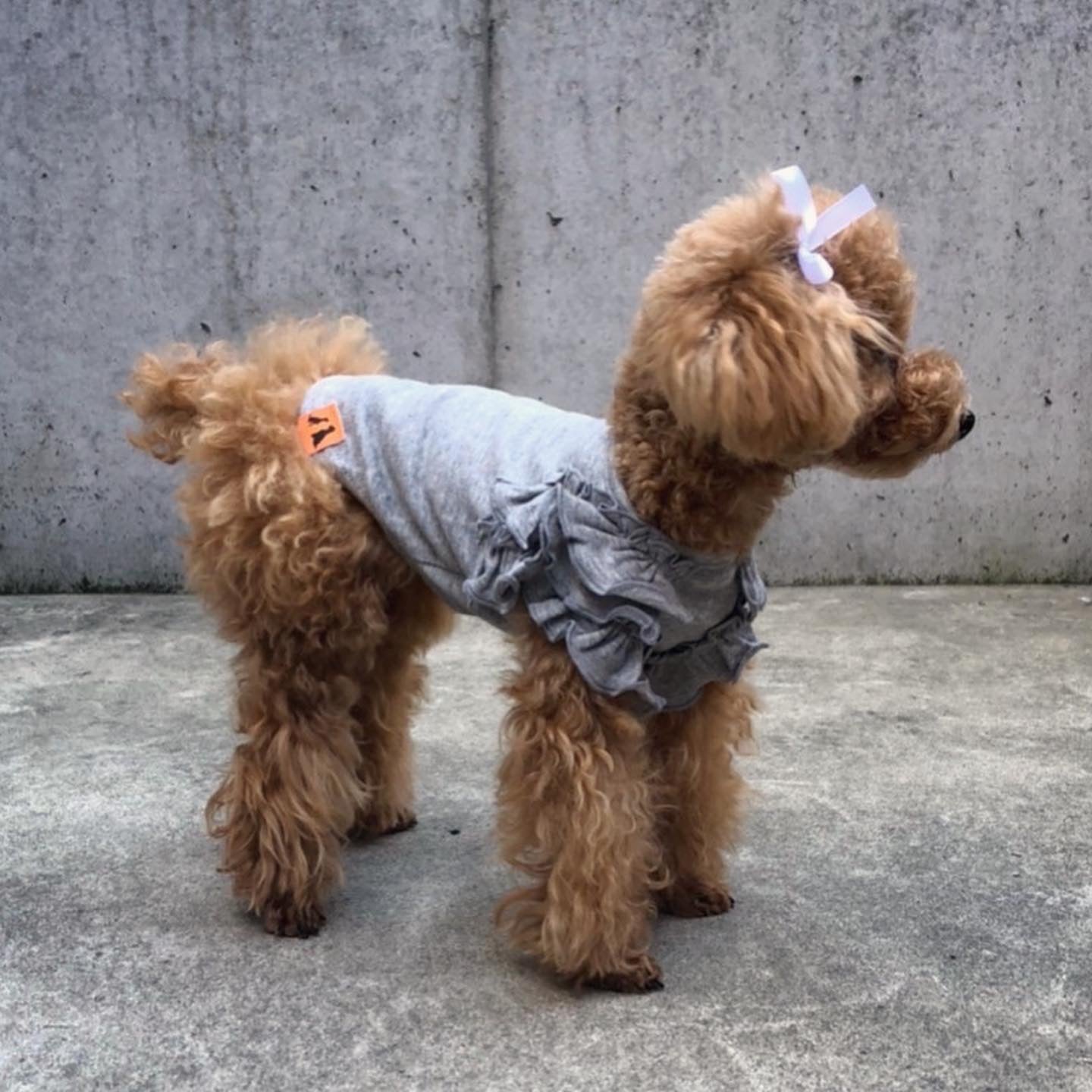 肩フリル Tシャツ