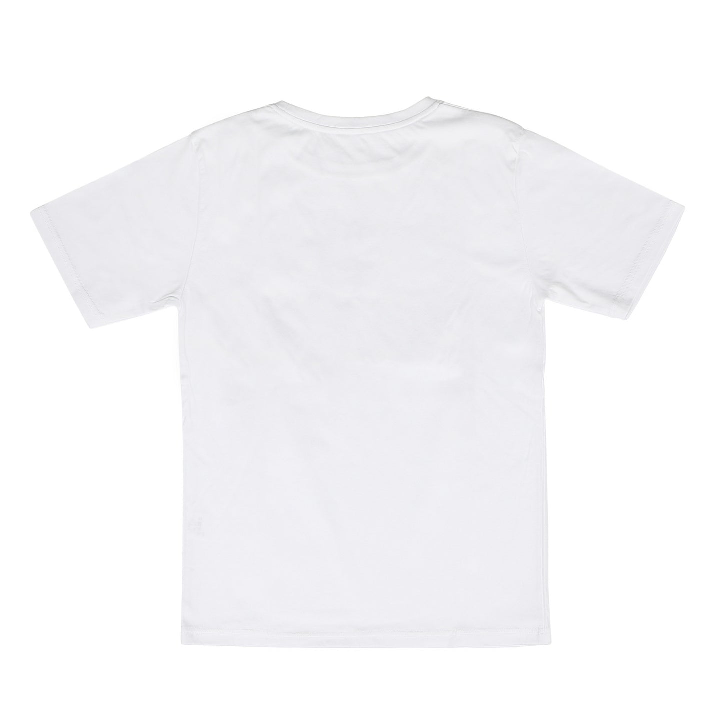 大人用Tシャツ(リトルスター)