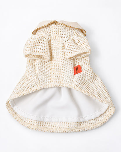 Gold Line Mesh Dressーアイボリー
