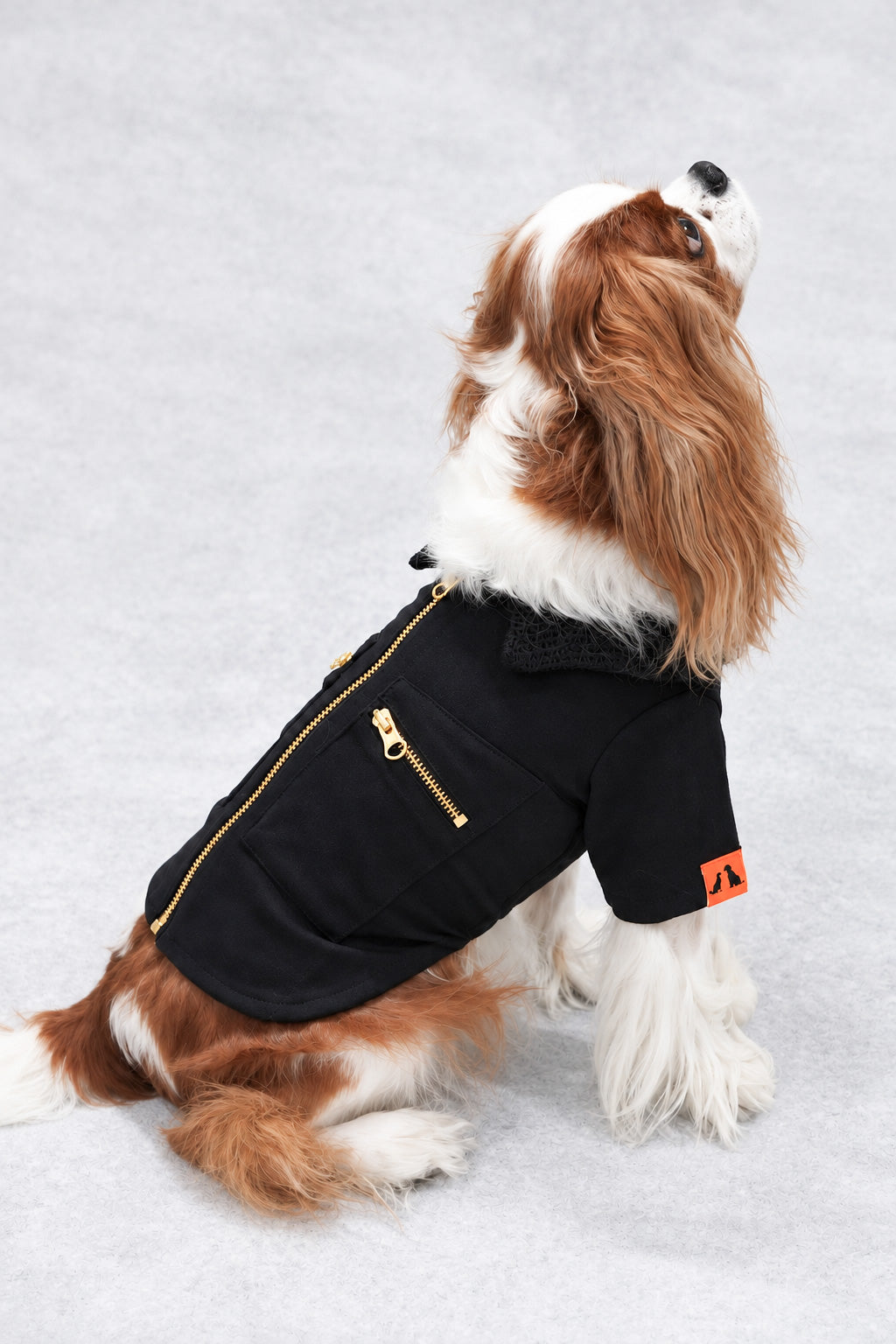 DOUBLE POCKET ZIP JACKET ー　ブラック