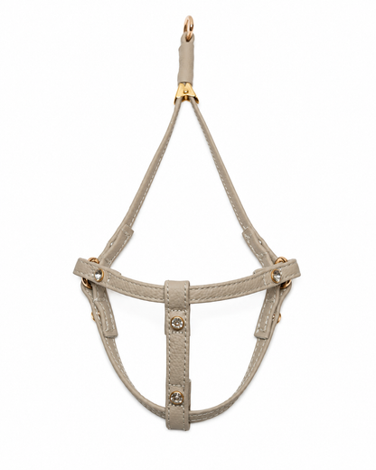 Hands-free dog leash, denim