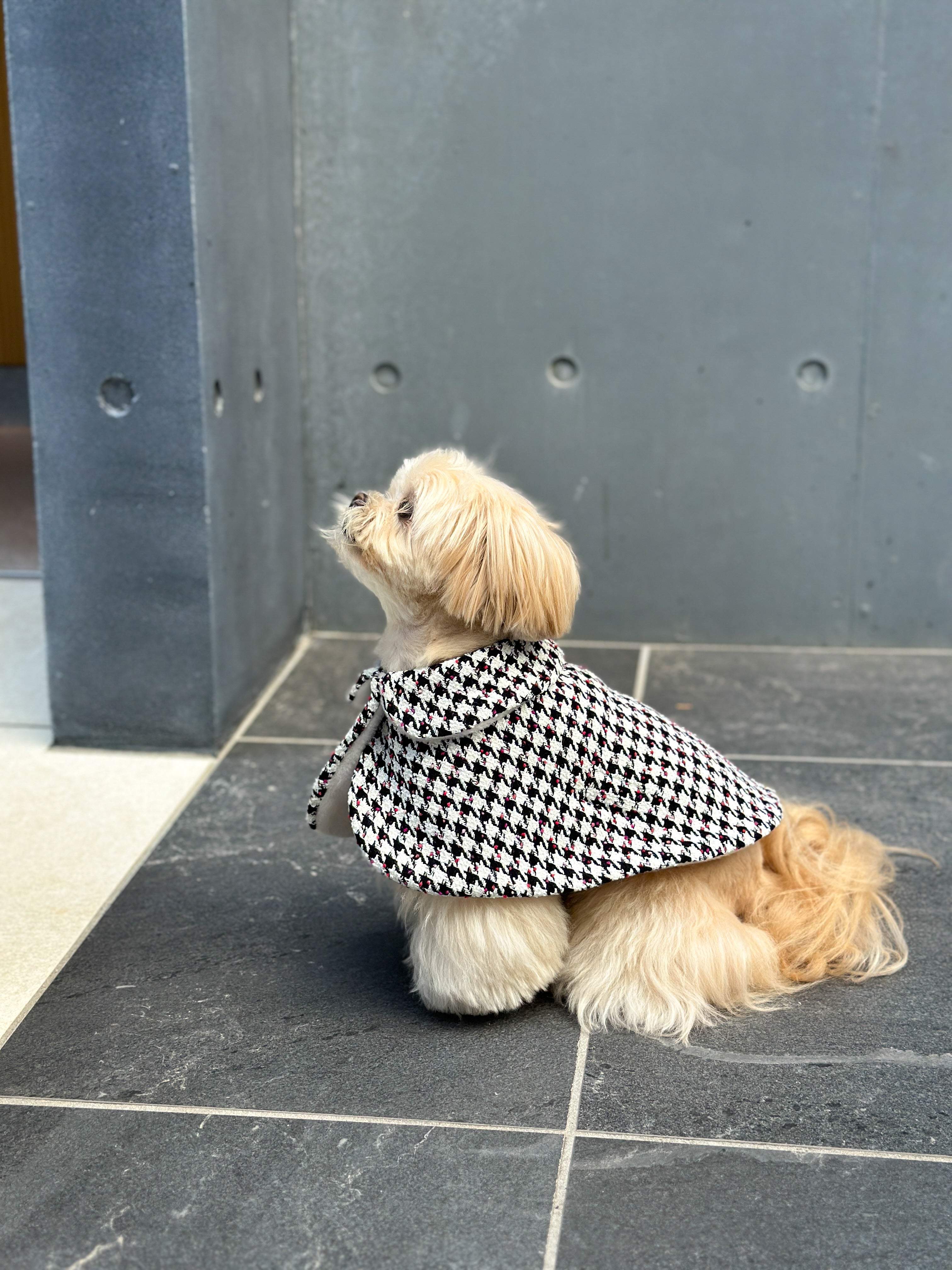 犬 服 ショップ 東京 ストア