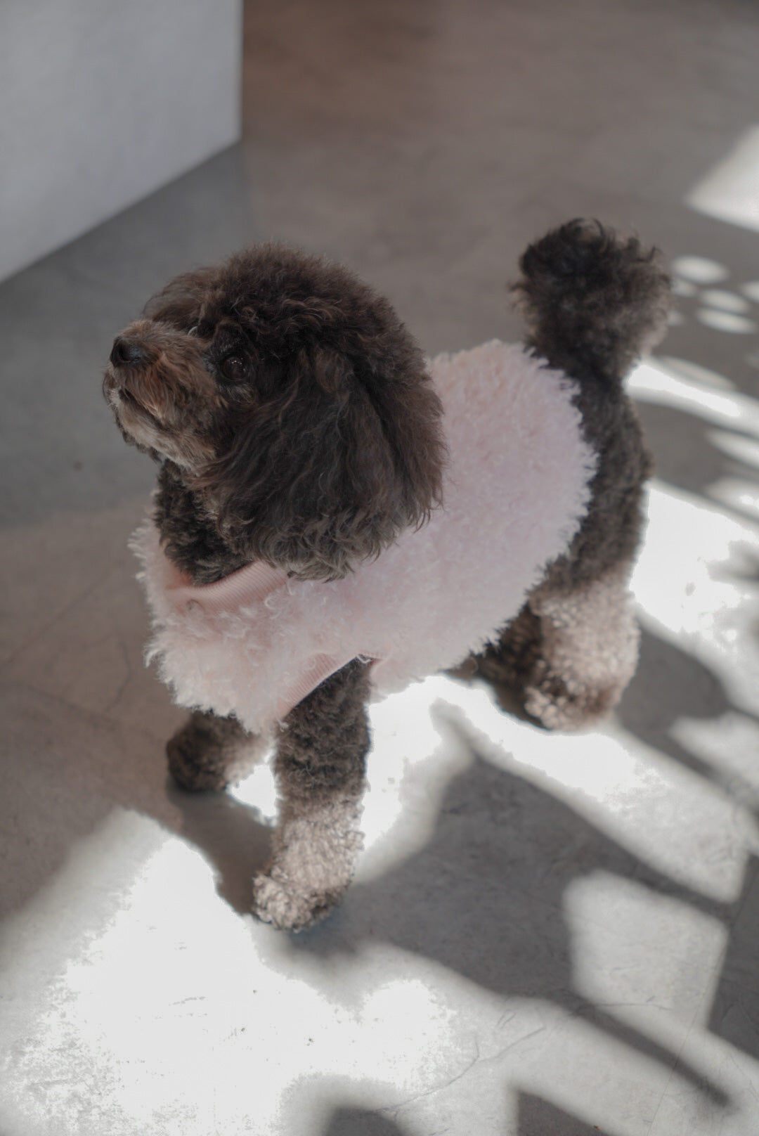 ソフトファーベスト