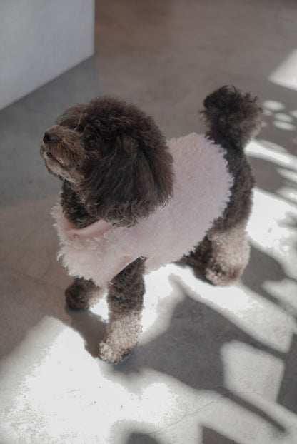 ソフトファーベスト