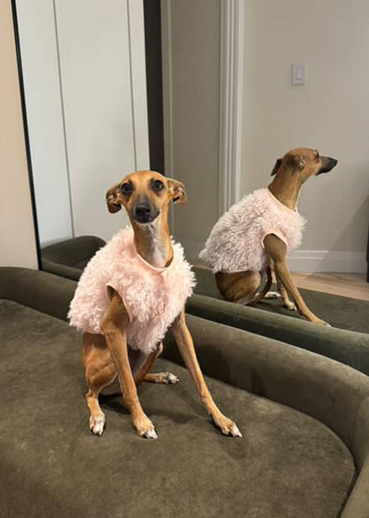 ソフトファーベスト