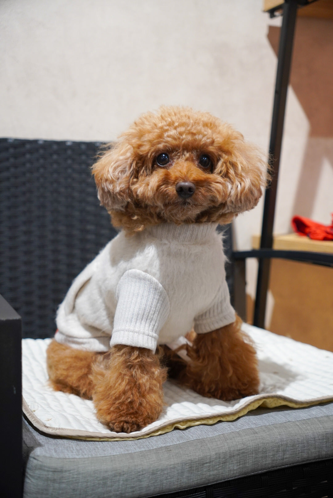 ロングシャギージップアップ（ベージュ／アイスブルー）