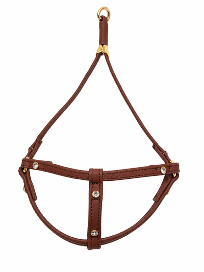 Hands-free dog leash, denim