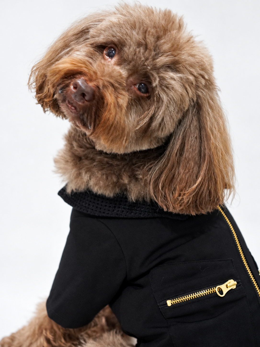 DOUBLE POCKET ZIP JACKET ー　ブラック