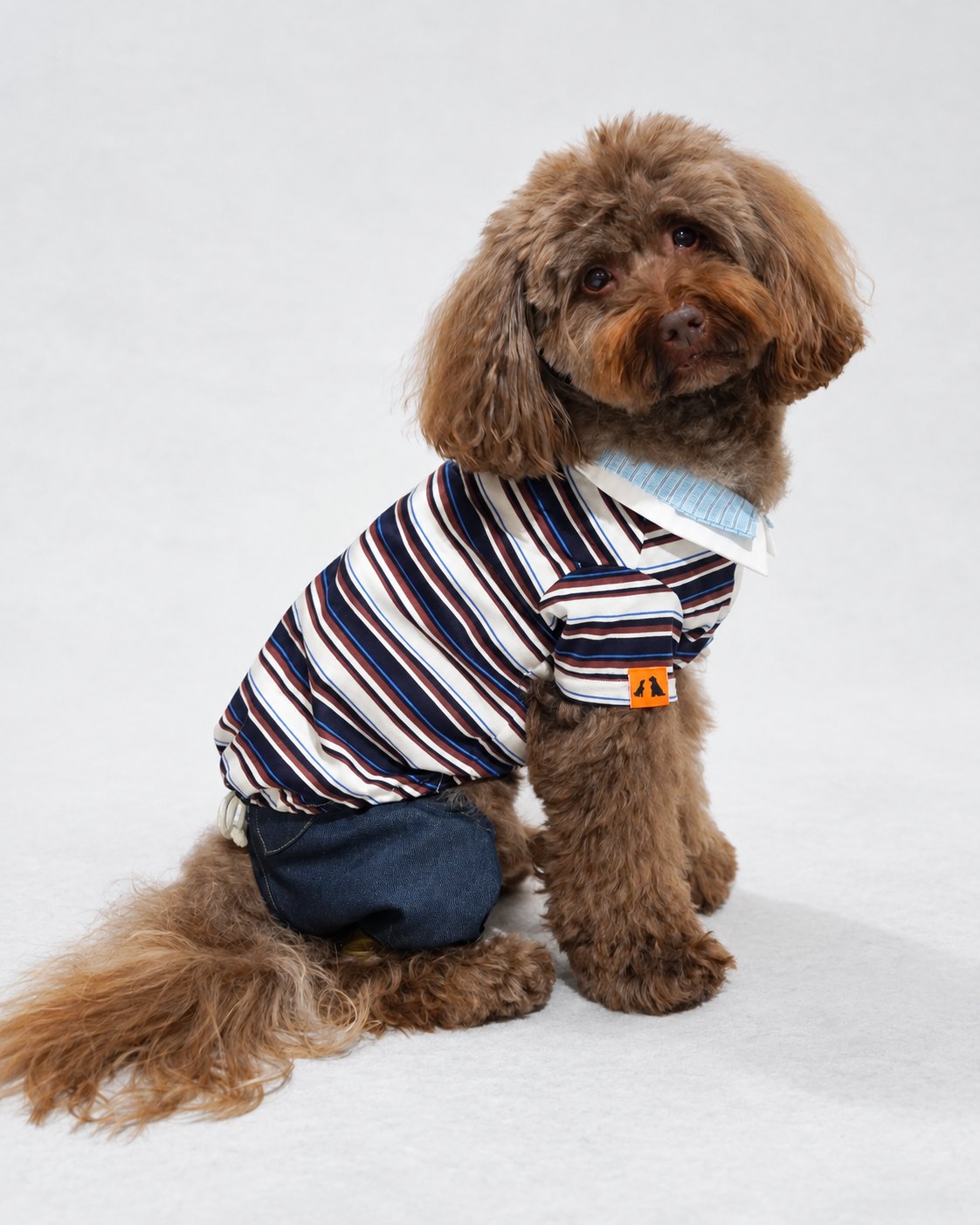 Double Collar Polo ー ネイビー