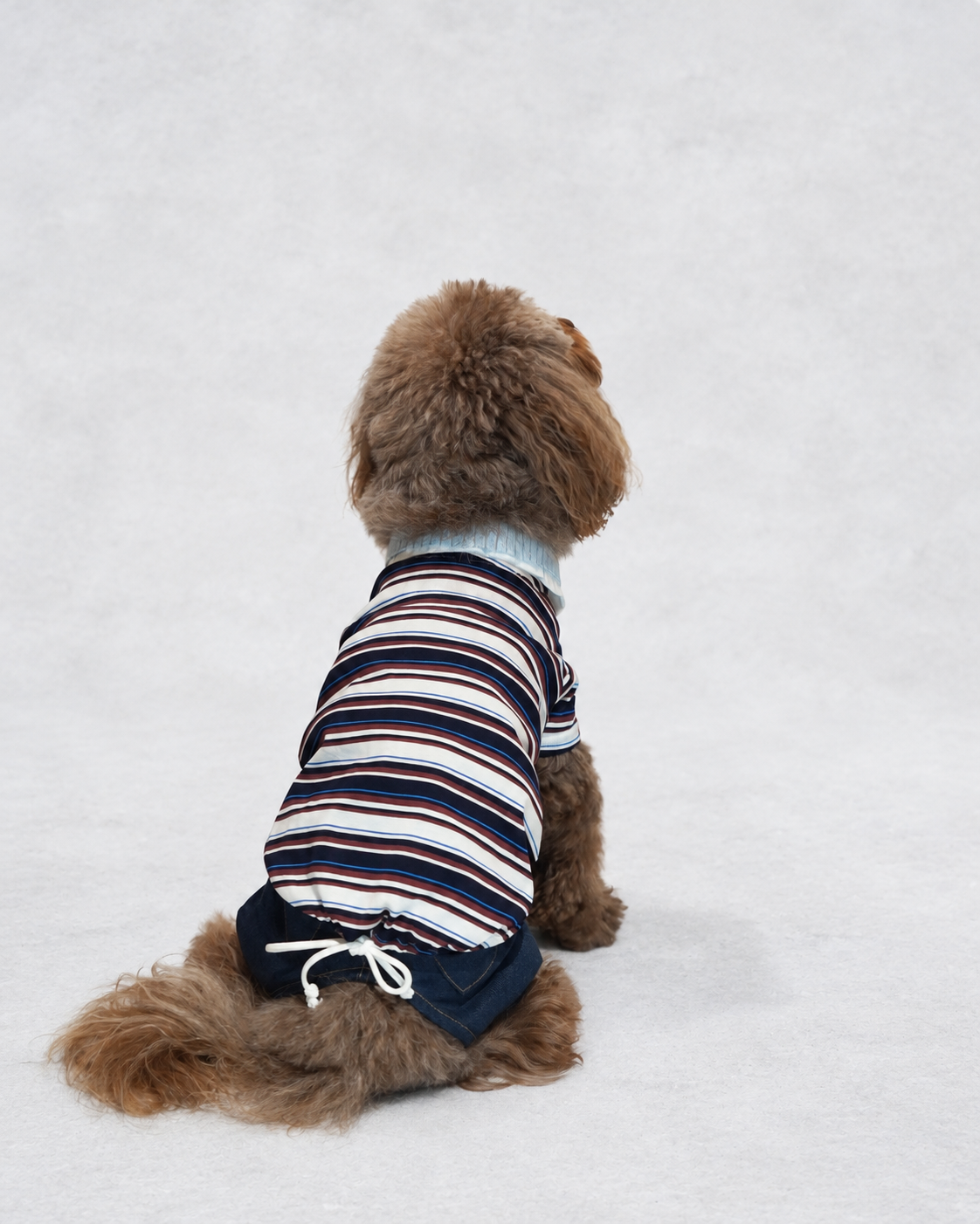 Double Collar Polo ー ネイビー