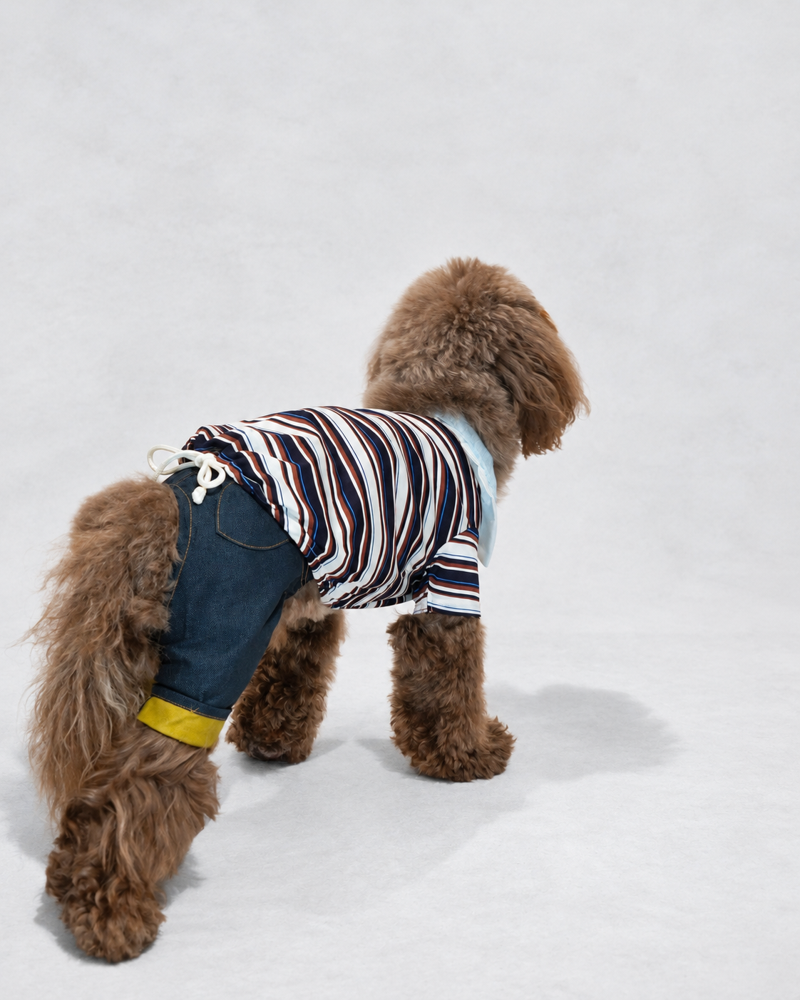 Double Collar Polo ー ネイビー