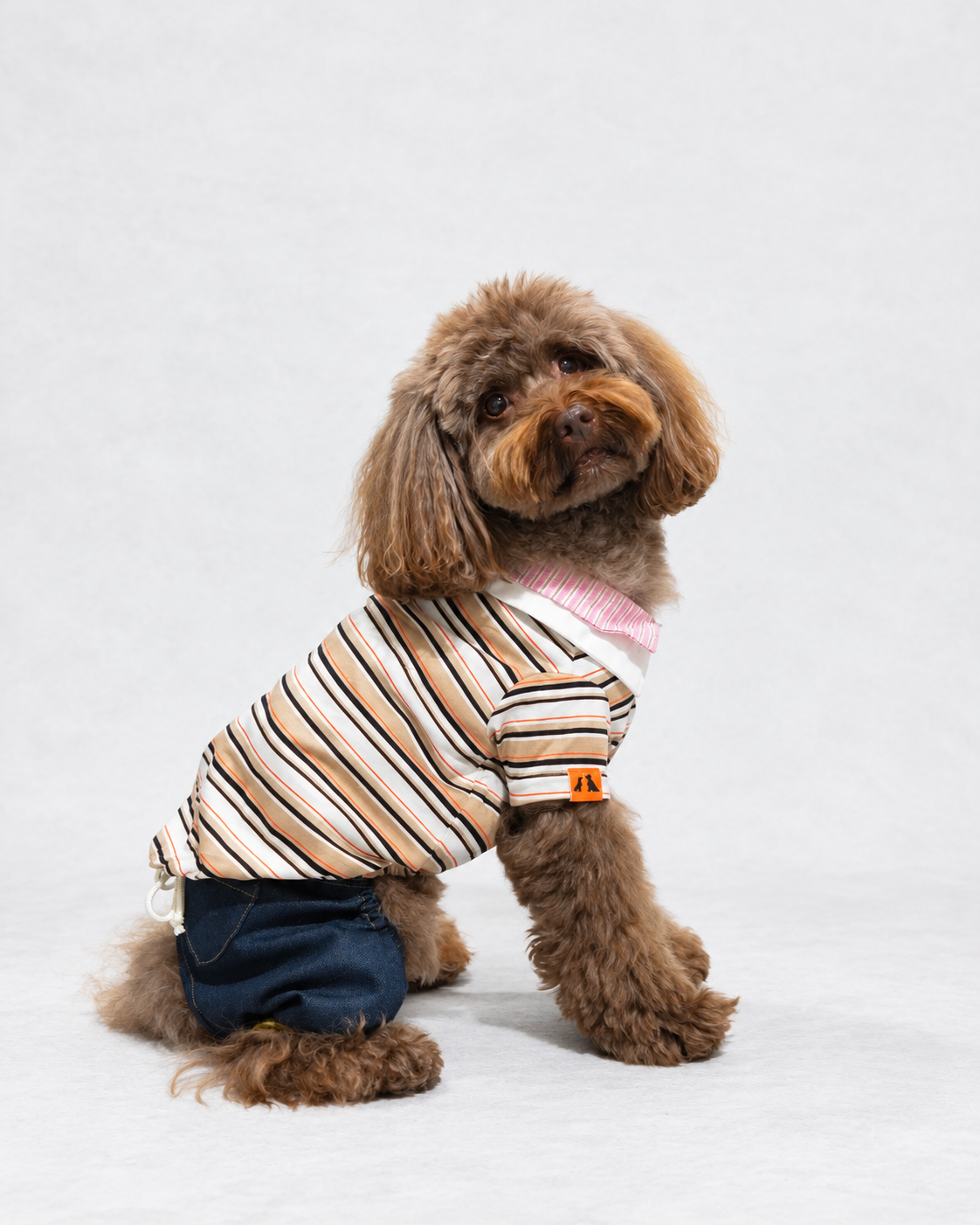 Double Collar Polo ー ベージュ