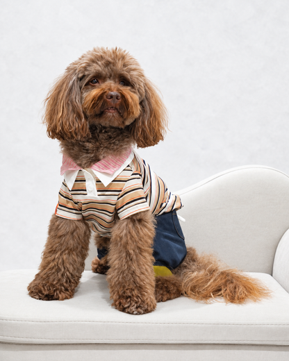Double Collar Polo ー ベージュ