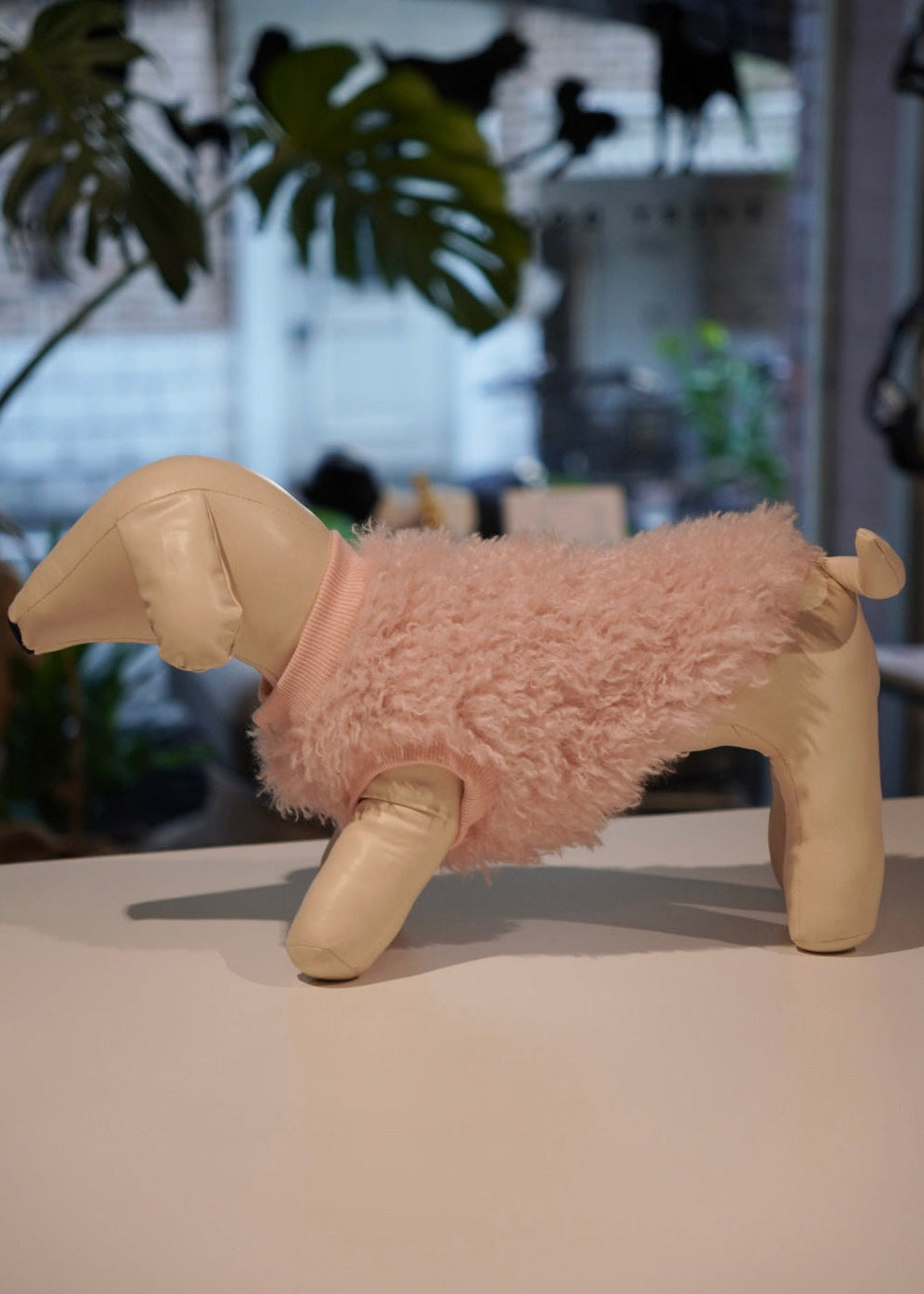 ソフトファーベスト