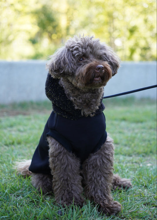 きらめきボアフーディ