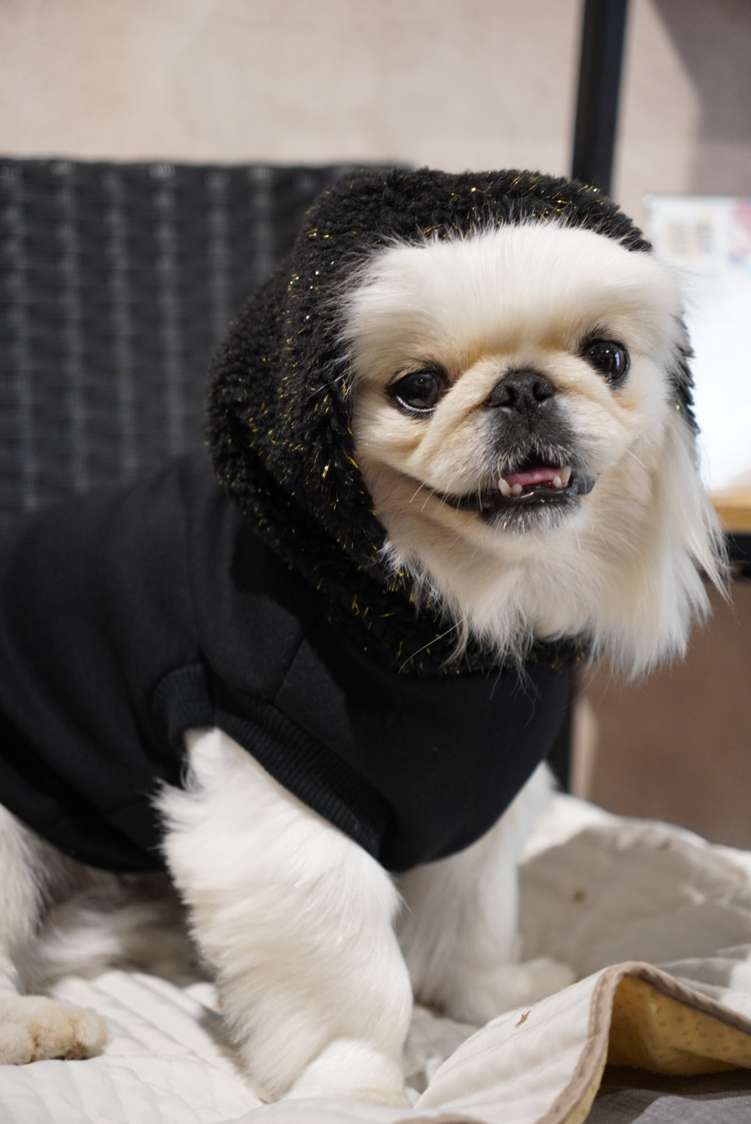 きらめきボアフーディ