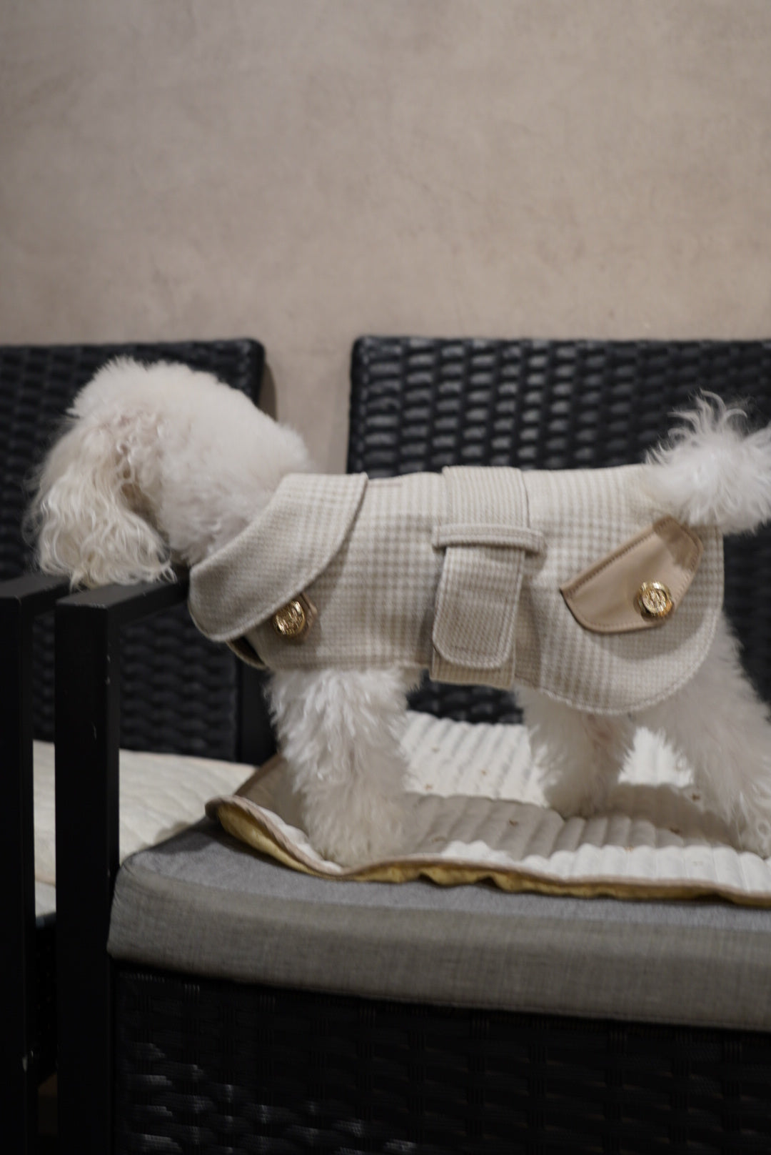 クラシックチェックコート