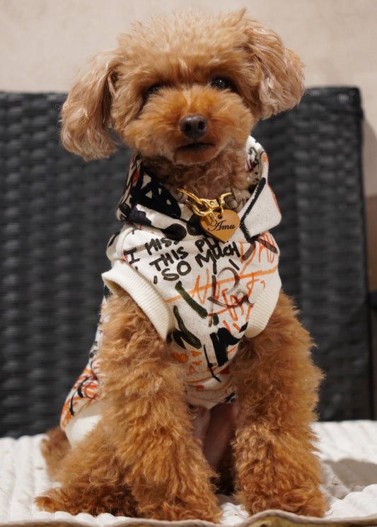 グラフィックロゴパーカー