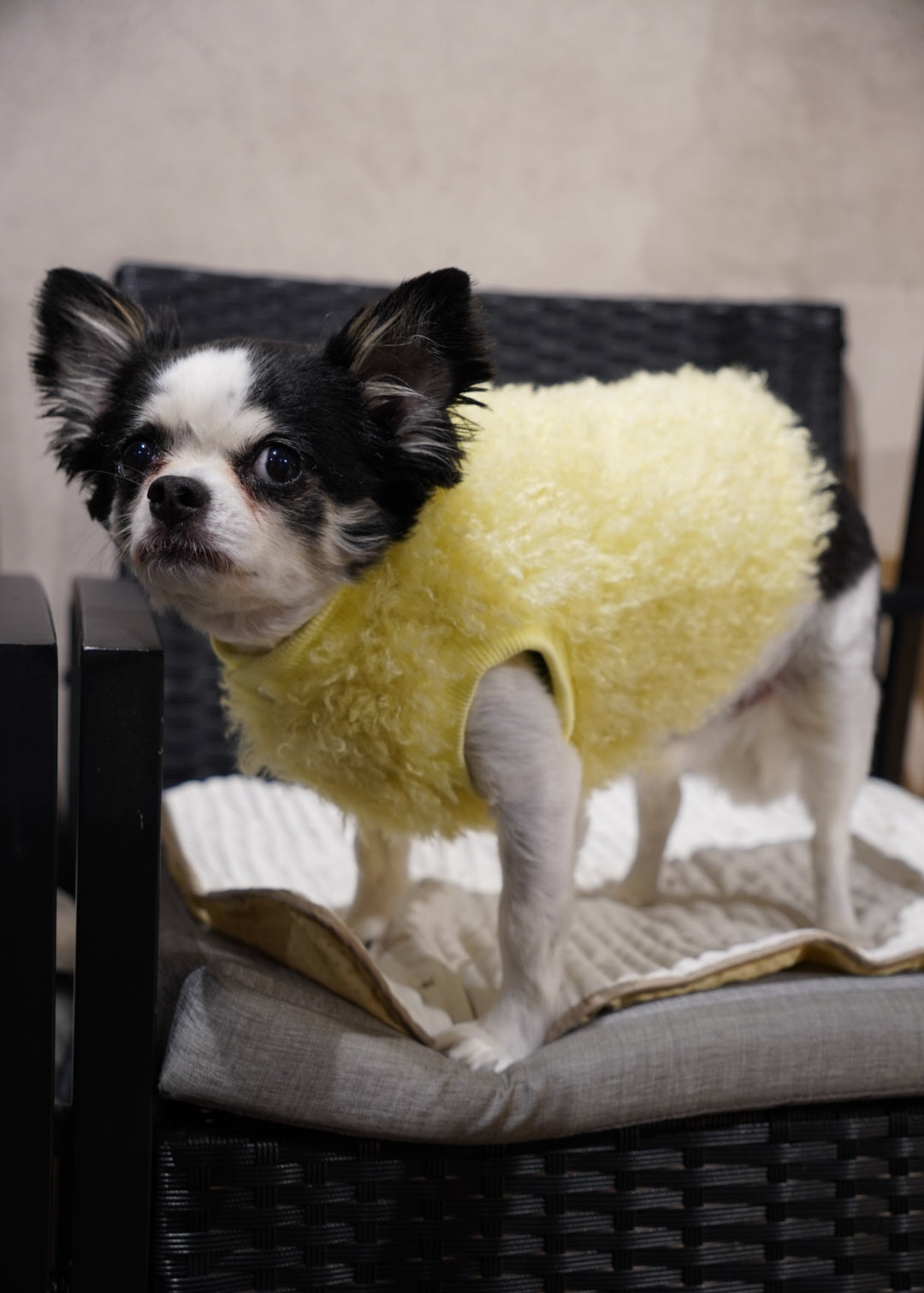 ソフトファーベスト