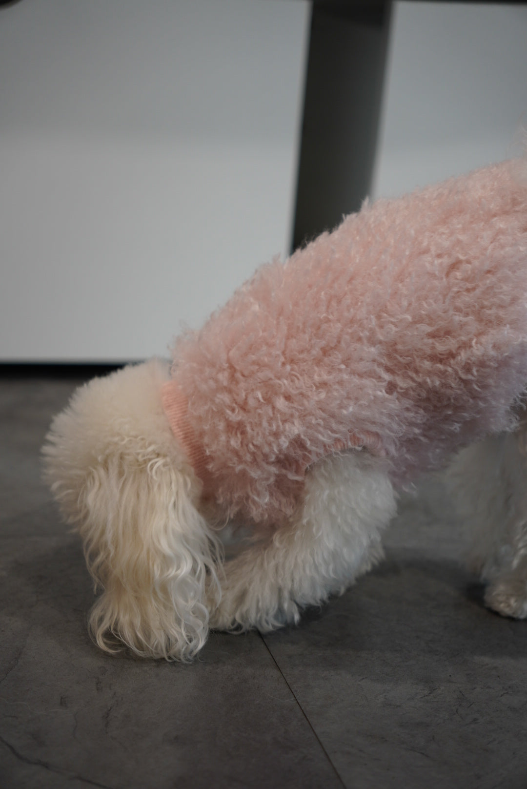 ソフトファーベスト – Forest Tokyo