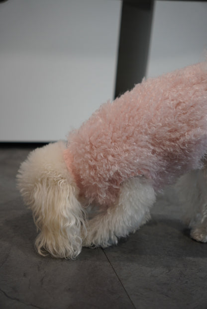 ソフトファーベスト