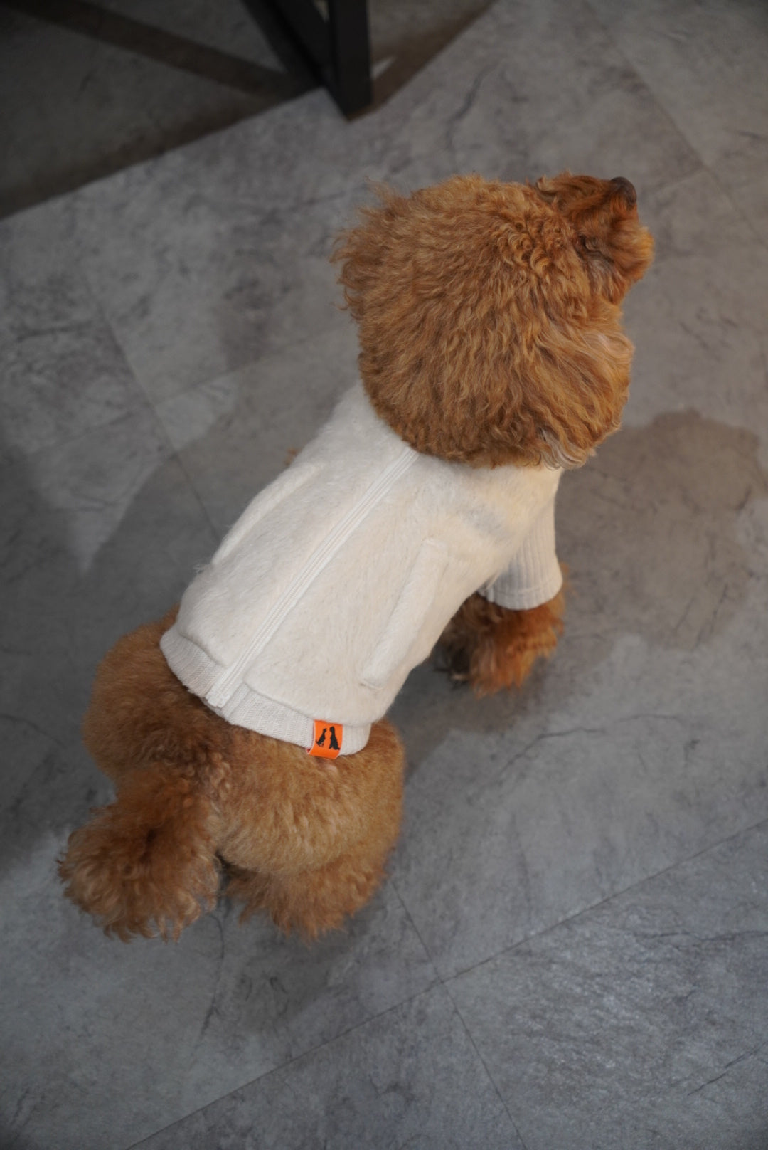 ロングシャギージップアップ（ベージュ／アイスブルー）