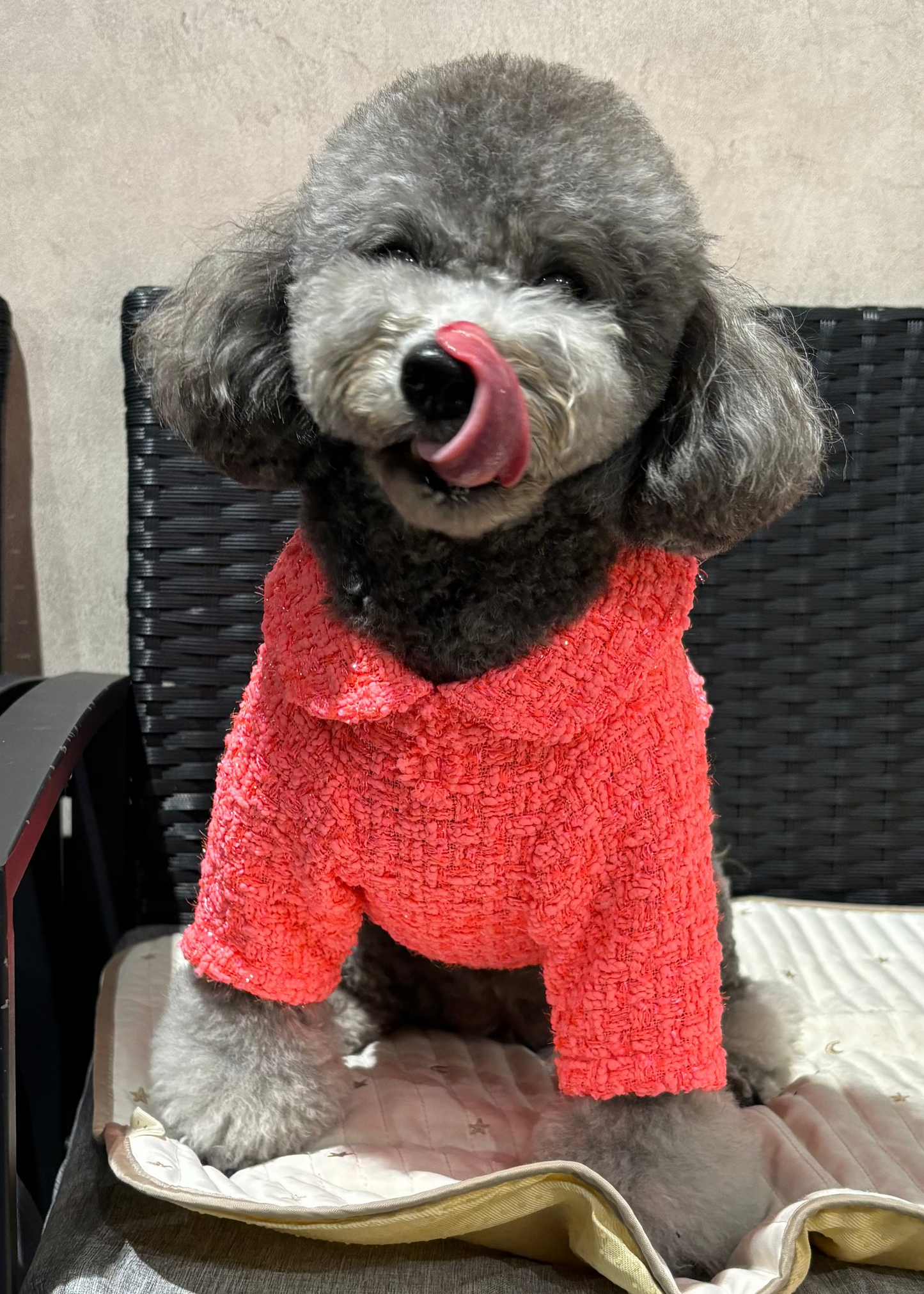 ツイードカラージャケット