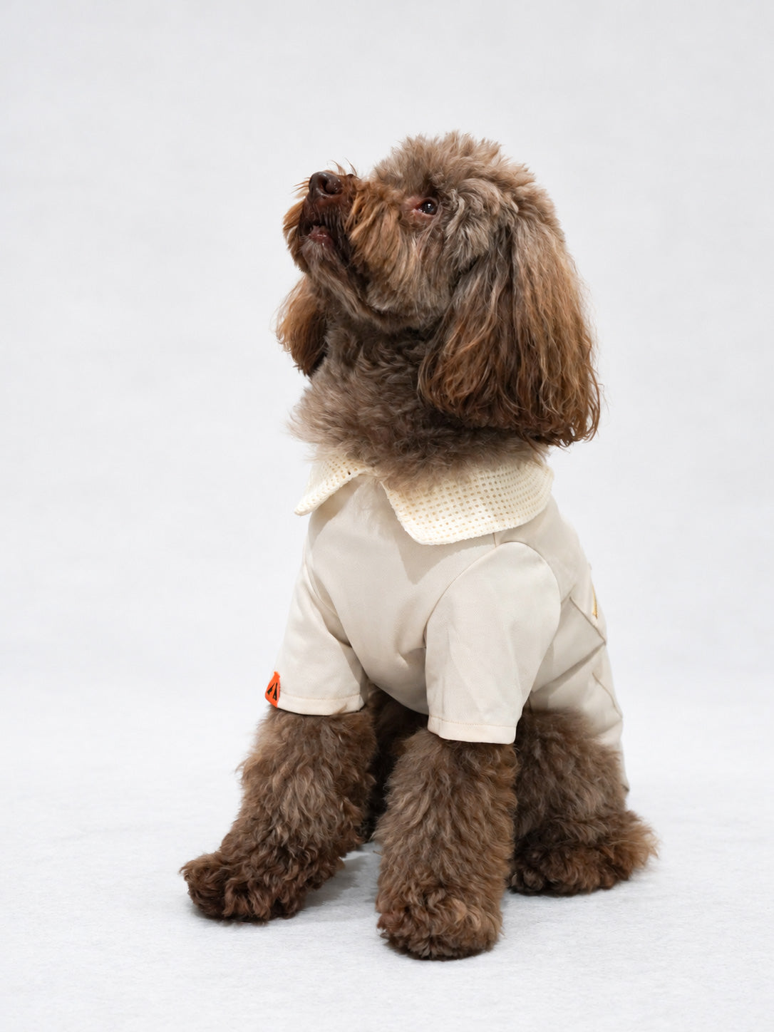 DOUBLE POCKET ZIP JACKET ー　アイボリー