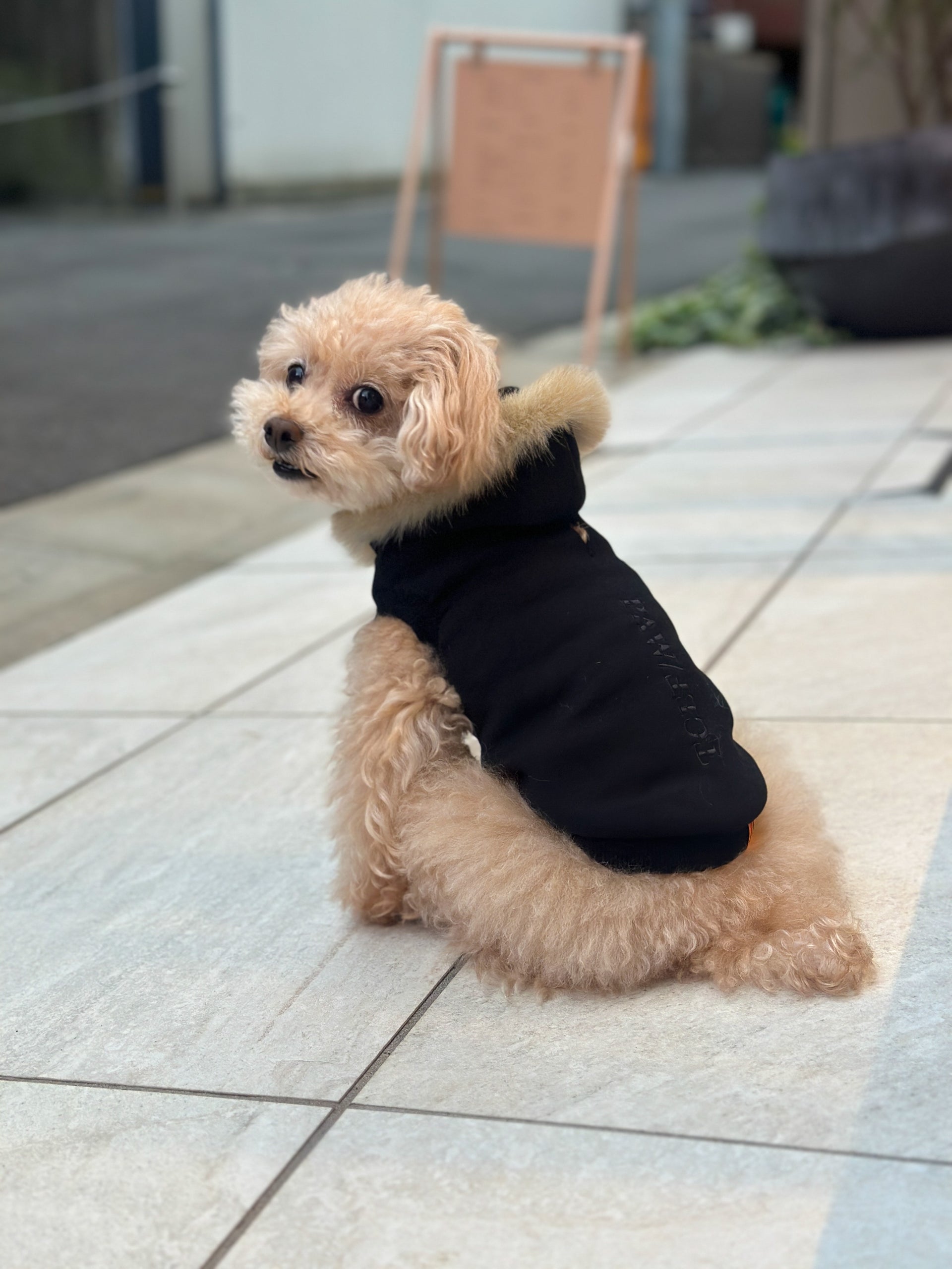 PAWFECT ファーパーカー 【ブラック】 – Forest Tokyo