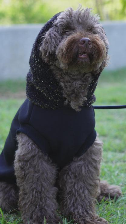 きらめきボアフーディ